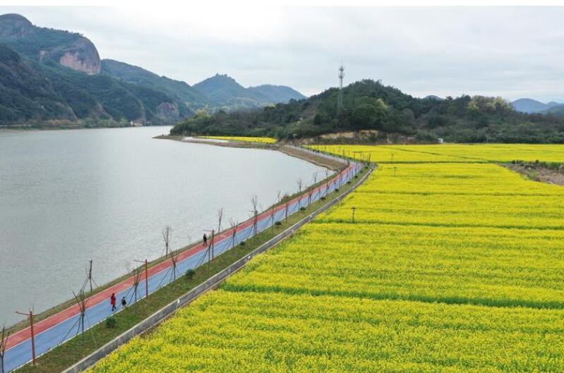 油菜花開(kāi)布谷湖