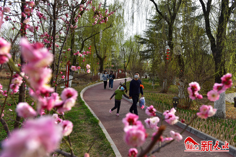 天水：馬跑泉公園春意正濃（組圖）