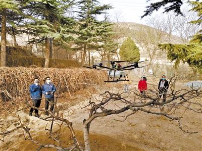 隴南市西和縣大橋鎮(zhèn)：無人機(jī)灑藥除蟲助力“春耕”