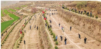 駐峰機關(guān)單位干部職工赴毛寺村開展義務(wù)植樹活動