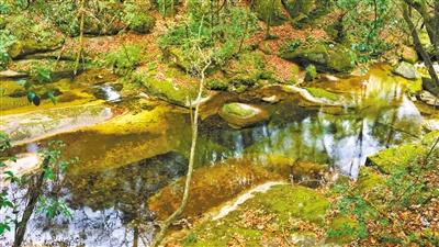 甘肅旅游丨八福溝，西秦嶺深處的水韻秘境