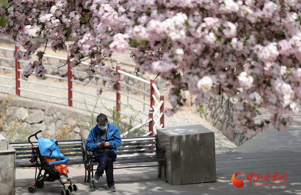 蘭州已有17家景區(qū)恢復(fù)開放