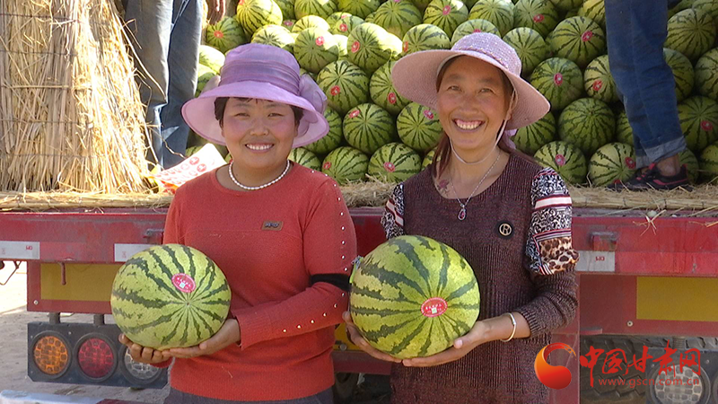 靖遠(yuǎn)：東西部攜手澆灌“致富花”