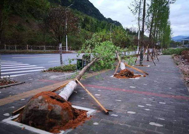 刮風(fēng)下雨加速新冠病毒傳播？別信！