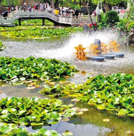 走，到五泉山公園看花展去