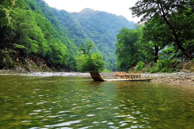 【小隴畫報·95期】康縣：來陽壩，“森”呼吸，我“氧”你