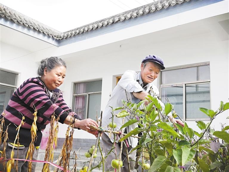 天水武山蘭溝新村：戶戶“和諧居” 家家“居和諧”