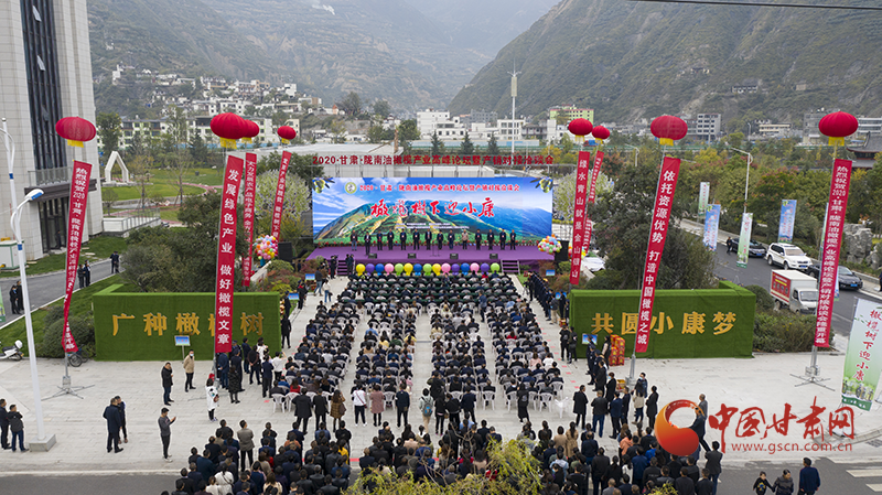 隴南：油橄欖種子經(jīng)過(guò)太空遨游后回“娘家”