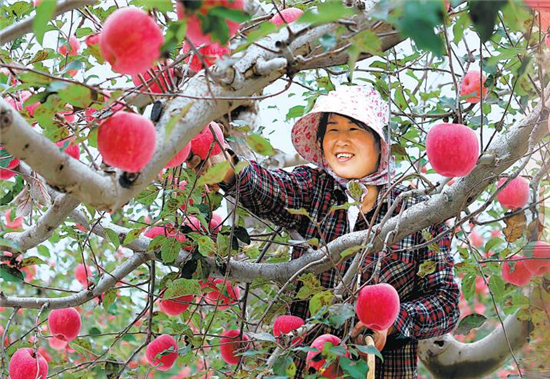 為特色“隴貨”打開資本市場的大門——鄭州商品交易所服務(wù)甘肅農(nóng)特產(chǎn)品發(fā)展綜述