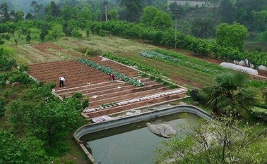 甘肅省加快推動家庭農(nóng)場數(shù)量質(zhì)量雙提升