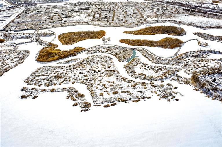 張掖國家濕地公園雪景如畫