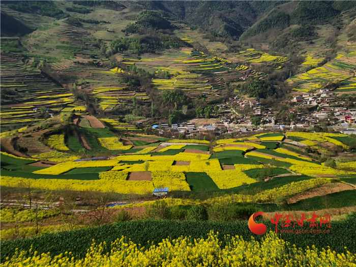 “干部娃娃”真扶貧——蘭州市城關(guān)區(qū)三位年輕幫扶干部的扶貧故事