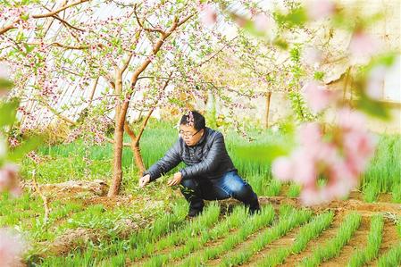 甘肅：時令催人耕種忙，不誤田間一季春