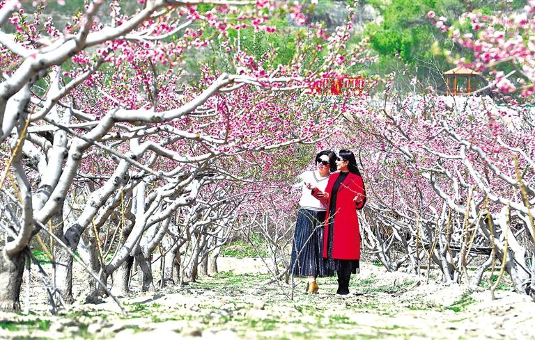 臨夏州各縣市多個旅游景區(qū)景點游人如織