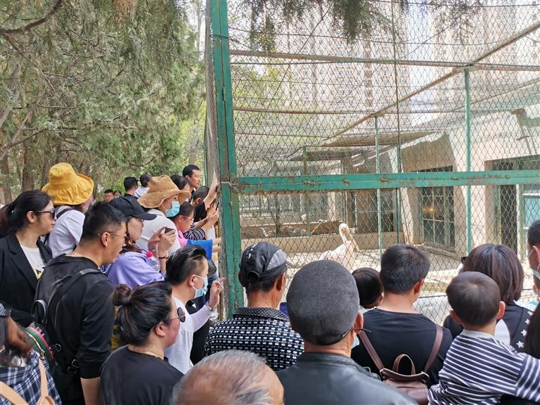 【蘭州市動物園搬遷】守護(hù)者訴說不了情