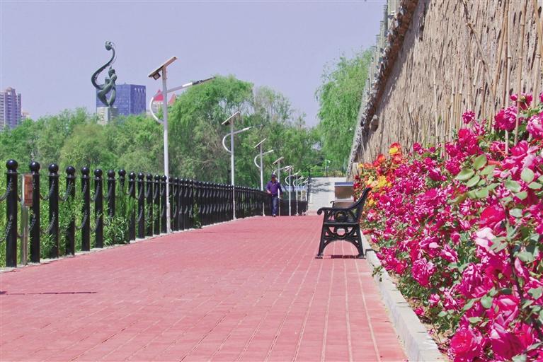 金城蘭州：河道健身步道蝶變花海景觀長廊