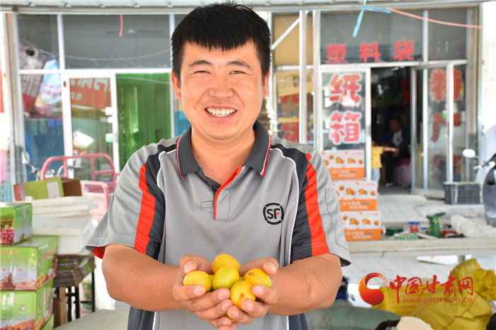 【厚道甘肅 地道甘味】酒泉敦煌：李廣杏熟了 讓快遞送“甜美”到你家