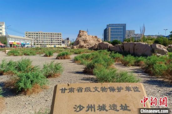 圖為沙州郡城遺址公園古遺址?！⊥醣筱y 攝