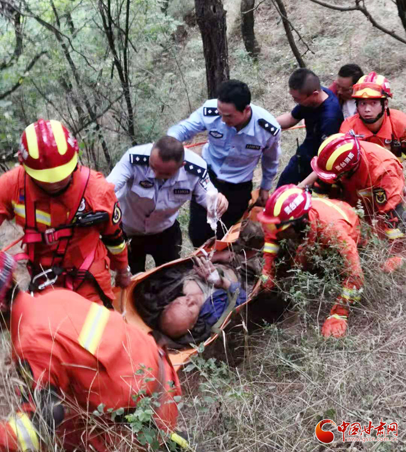 【我為群眾辦實(shí)事】平?jīng)鲮`臺：六旬老人山林走失 警民攜手成功施救