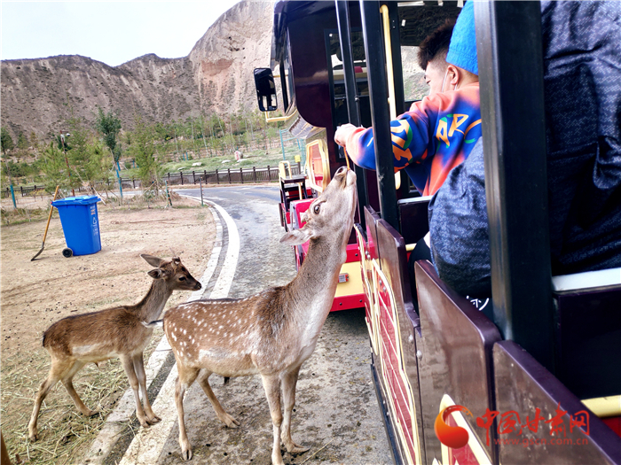 重陽節(jié)蘭州野生動(dòng)物園48元可搶門票