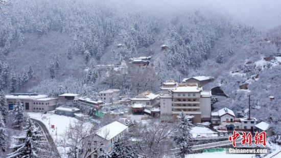 圖為籠罩在雪下的世界。吳永 攝