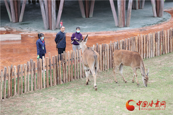 蘭州野生動(dòng)物園自12月18日起開(kāi)通自駕游 試運(yùn)營(yíng)期間收費(fèi)100元/輛