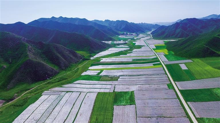 蘭州永登縣打贏三場攻堅戰(zhàn)做好“產(chǎn)業(yè)興旺”大文章