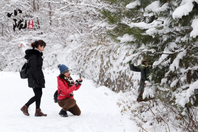 【小隴畫報·129期】問道崆峒遇風(fēng)雪 青山如黛天地白