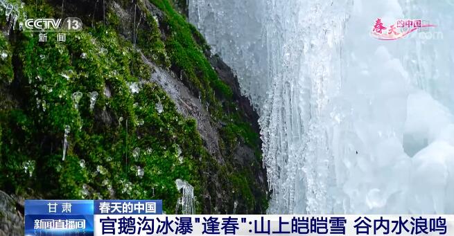 春天的中國 甘肅官鵝溝冰瀑“逢春”：山上皚皚雪 谷內(nèi)水浪鳴