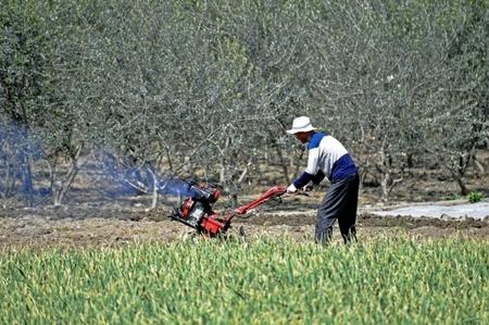 隴南武都區(qū)漢王鎮(zhèn)羅寨村農(nóng)民在耕地