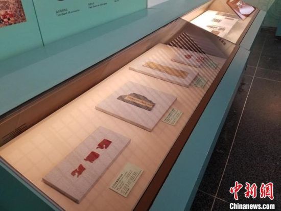 圖為展覽現(xiàn)場(chǎng)?！《鼗脱芯吭汗﹫D