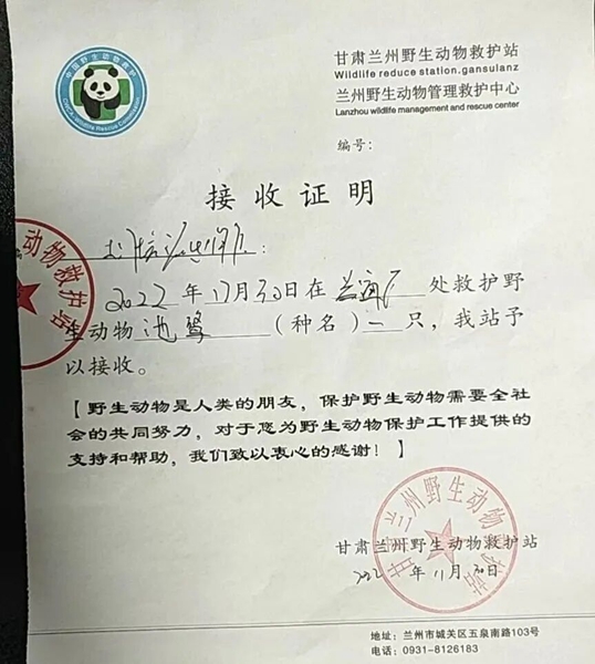 受到救助的池鷺被蘭州野生動(dòng)物保護(hù)站接收。（蘭州市公安局七里河分局供圖）