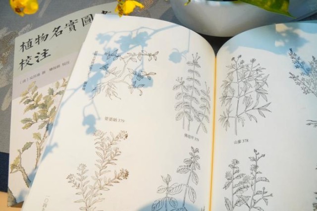 《植物名實(shí)圖考校注》內(nèi)頁。圖片來源：中華書局供圖