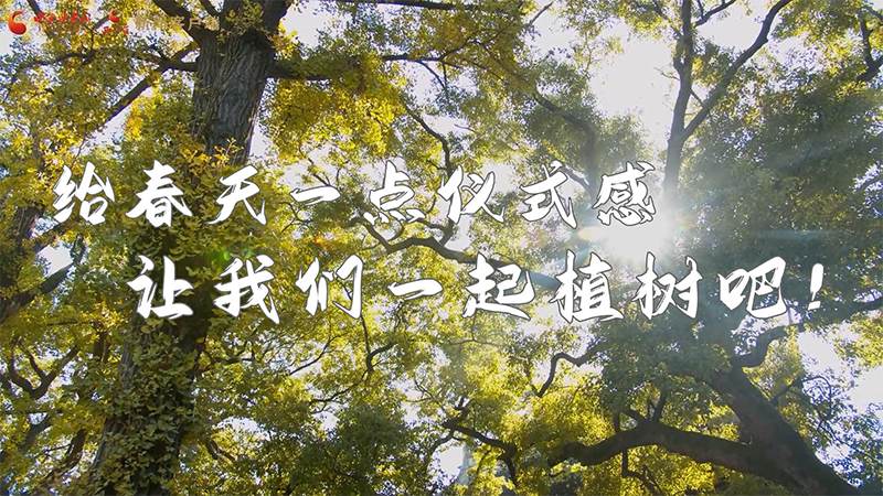 短視頻|給春天一點儀式感，讓我們一起植樹吧！