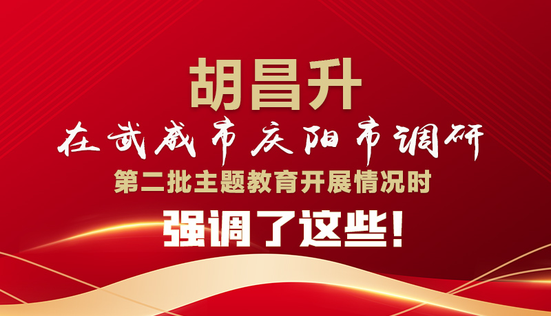 圖解|胡昌升在武威市慶陽市調(diào)研第二批主題教育開展情況時強調(diào)了這些！