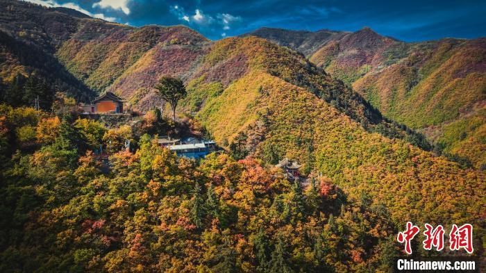 深秋，位于蘭州市榆中縣的興隆山，似打翻調(diào)色板。金峯 攝