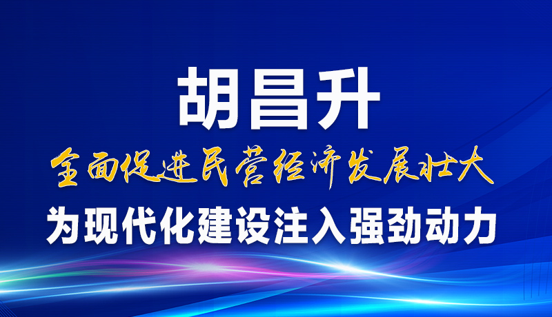 圖解|胡昌升：全面促進民營經濟發(fā)展壯大 為現(xiàn)代化建設注入強勁動力