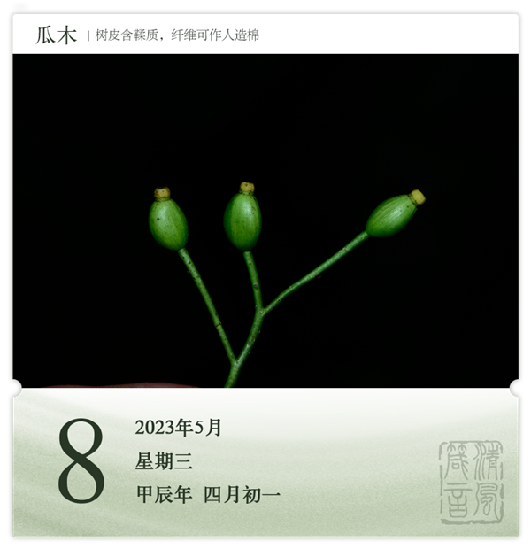 箴歷日歷5-8.png