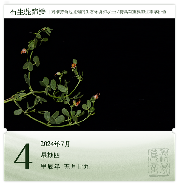 箴歷日歷7-4.png