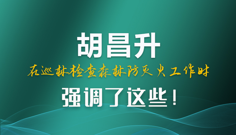 圖解|胡昌升在巡林檢查森林防滅火工作時(shí)強(qiáng)調(diào)了這些！