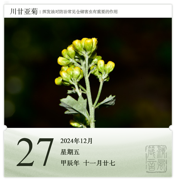 箴歷日歷12-27.png