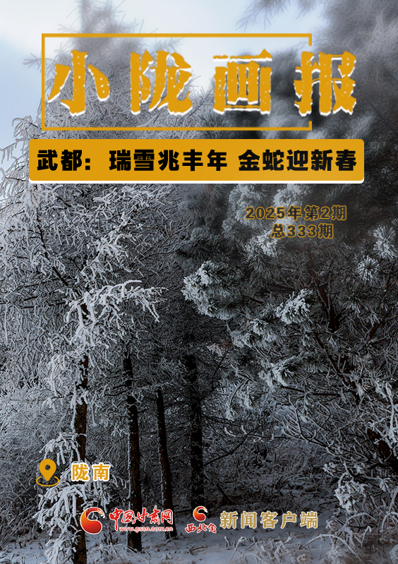 【小隴畫報(bào)·333期】武都：瑞雪兆豐年 金蛇迎新春