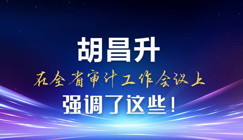 圖解|胡昌升在全省審計工作會議上強調了這些！