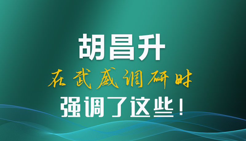 圖解|胡昌升在武威調(diào)研時強調(diào)了這些！