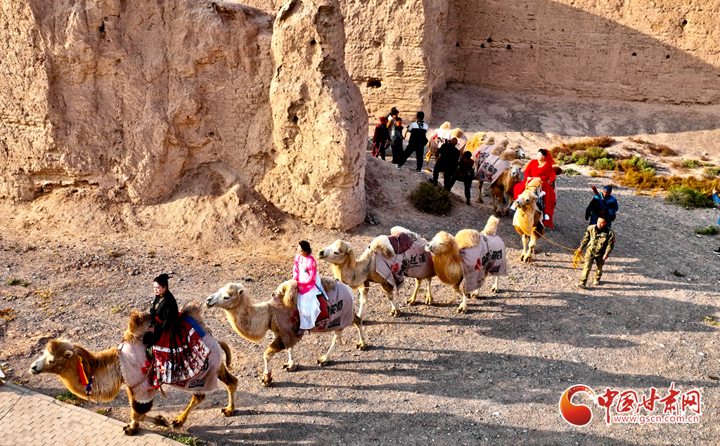 駝鈴悠揚(yáng) 穿越千年——33峰駱駝重現(xiàn)駱駝城遺址