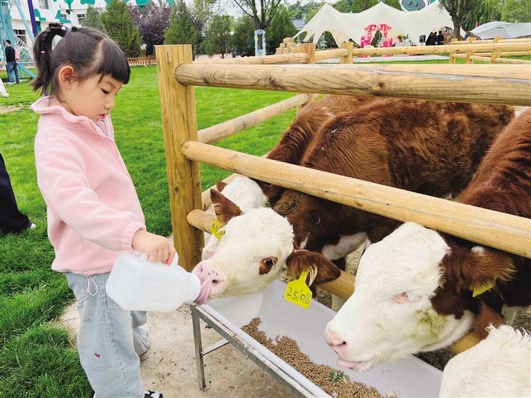 “雙節(jié)”消費熱潮涌動 甘肅假日經(jīng)濟活力十足