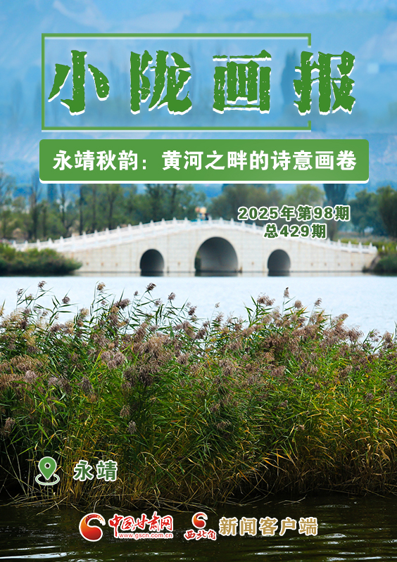【小隴畫報(bào)·429期】永靖秋韻：黃河之畔的詩意畫卷