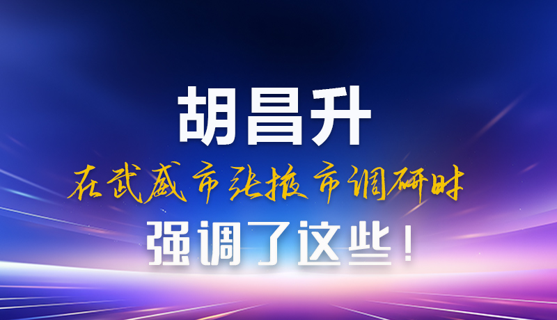 圖解|胡昌升在武威市張掖市調(diào)研時(shí)強(qiáng)調(diào)這些！