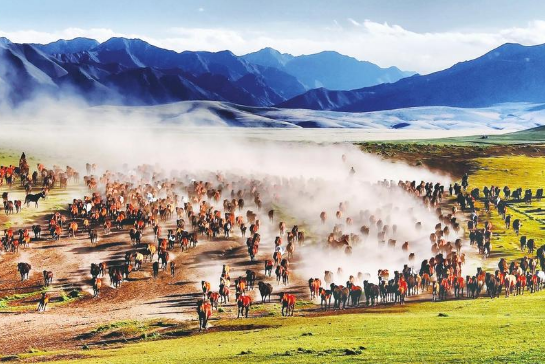 以“馬”破題 山丹文旅的國(guó)際化突圍