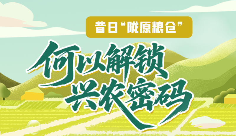 【理響中國(guó)·話隴點(diǎn)睛（3）】昔日“隴原糧倉(cāng)”，何以解鎖“興農(nóng)密碼”